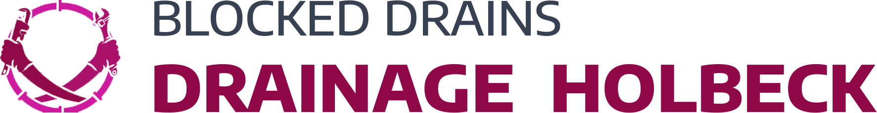 website logo
